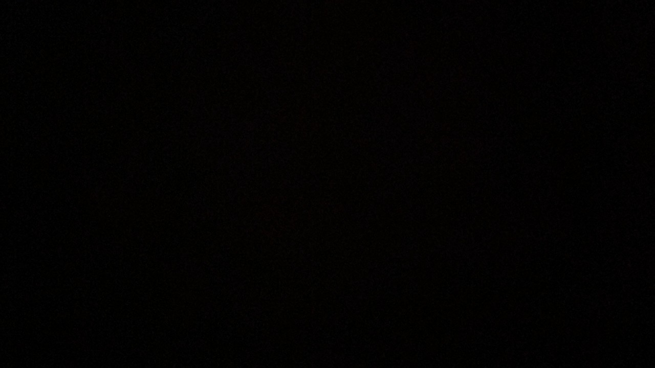 Chariot rond - Camel